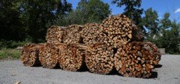 L'énergie du bois : une contribution précieuse 