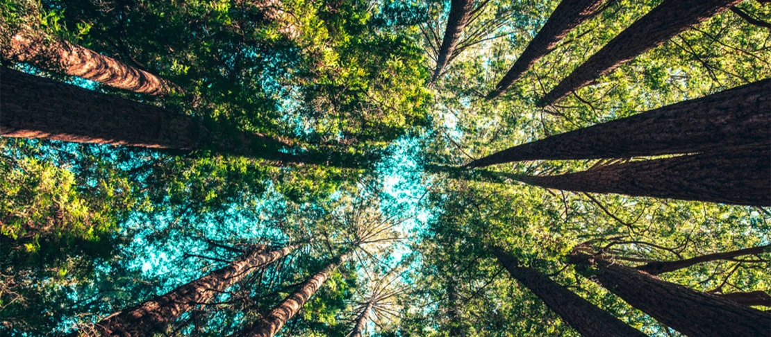 Liens utiles Liens utiles