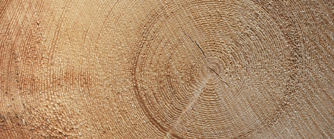 Energie-bois Suisse se présente Energie-bois Suisse se présente